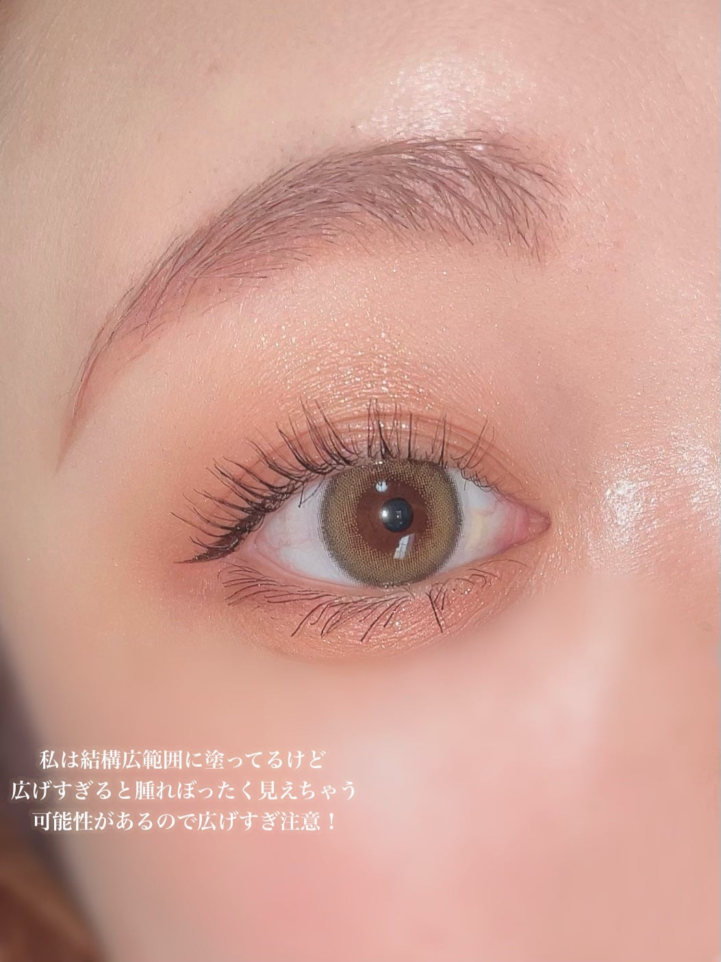 ごんす@YouTube始めました on LIPS 「《CEZANNEオレンジブラウンメイク🍊》セザンヌビタートーン..」(6枚目)