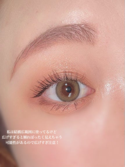 ごんす@YouTube始めました on LIPS 「《CEZANNEオレンジブラウンメイク🍊》セザンヌビタートーン..」(6枚目)