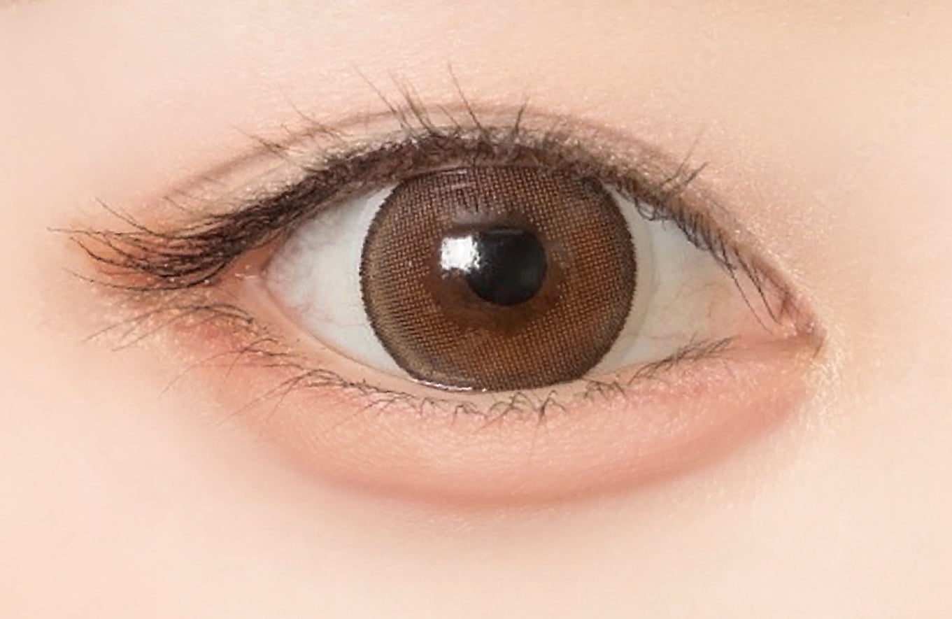 限定色使用イメージ