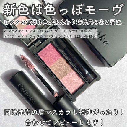 セルヴォーク インディケイトアイブロウパウダー/Celvoke/パウダーアイブロウを使ったクチコミ(2枚目)