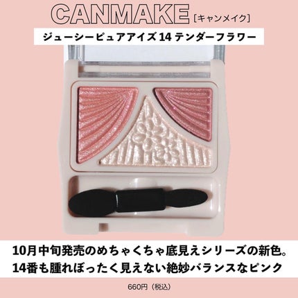 ジューシーピュアアイズ/キャンメイク/アイシャドウパレットを使ったクチコミ(5枚目)