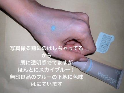 ウォンジョンヨ トーンアップベース NA/Wonjungyo/化粧下地を使ったクチコミ(2枚目)