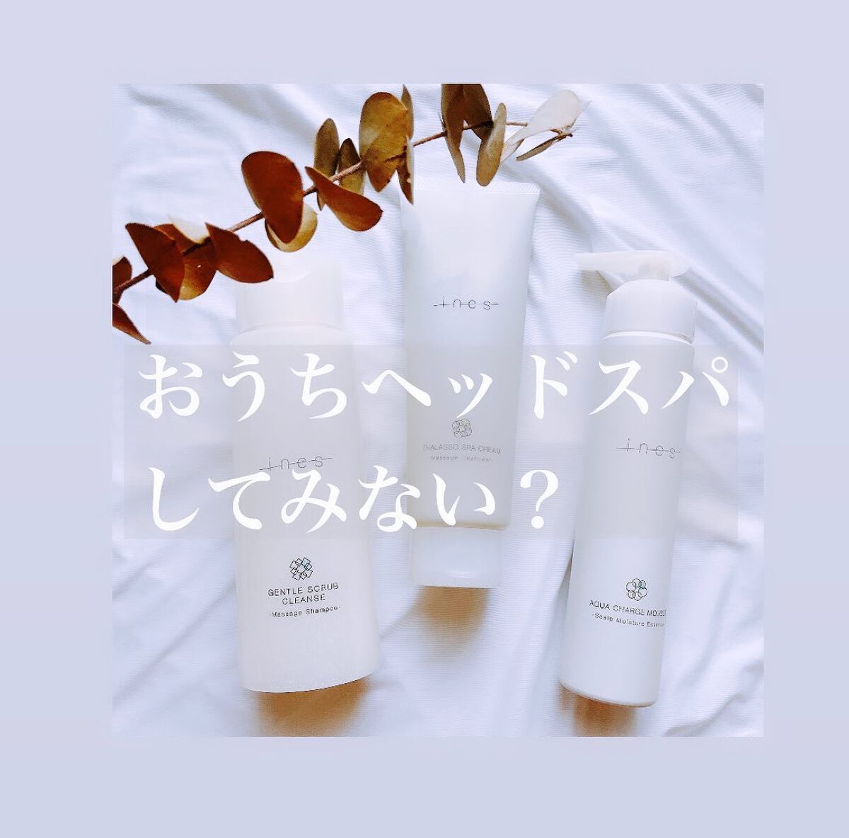 ねこむす on LIPS 「LemonSquareを通じて、【花王株式会社】から【ines..」(1枚目)