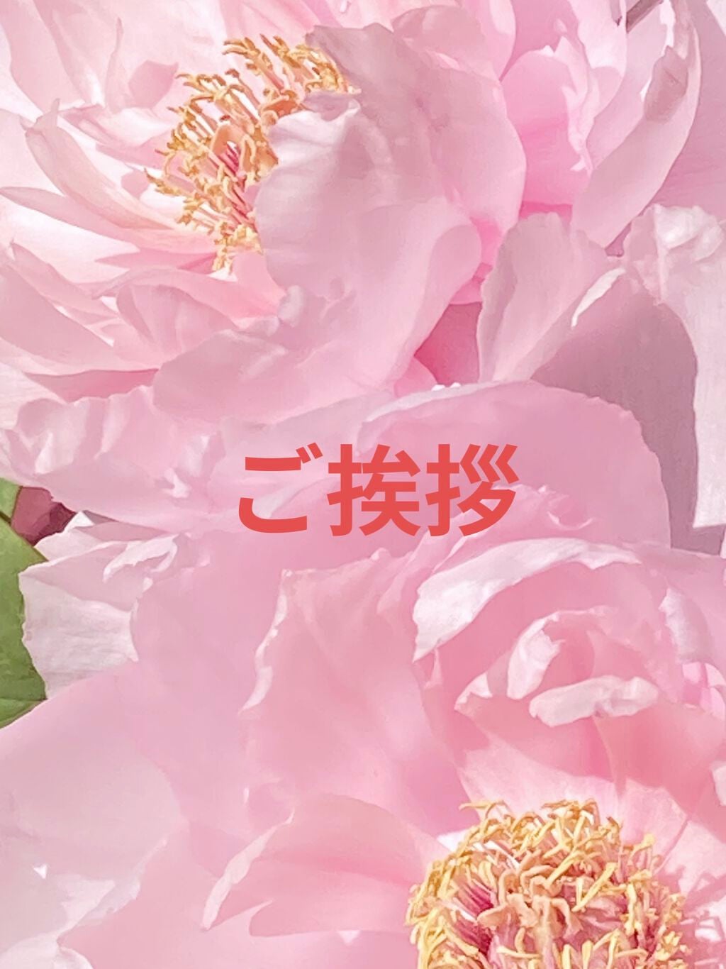 桃牡丹 on LIPS 「初めまして見る専門でしたが、備忘とモチベーションを保つために投..」(1枚目)