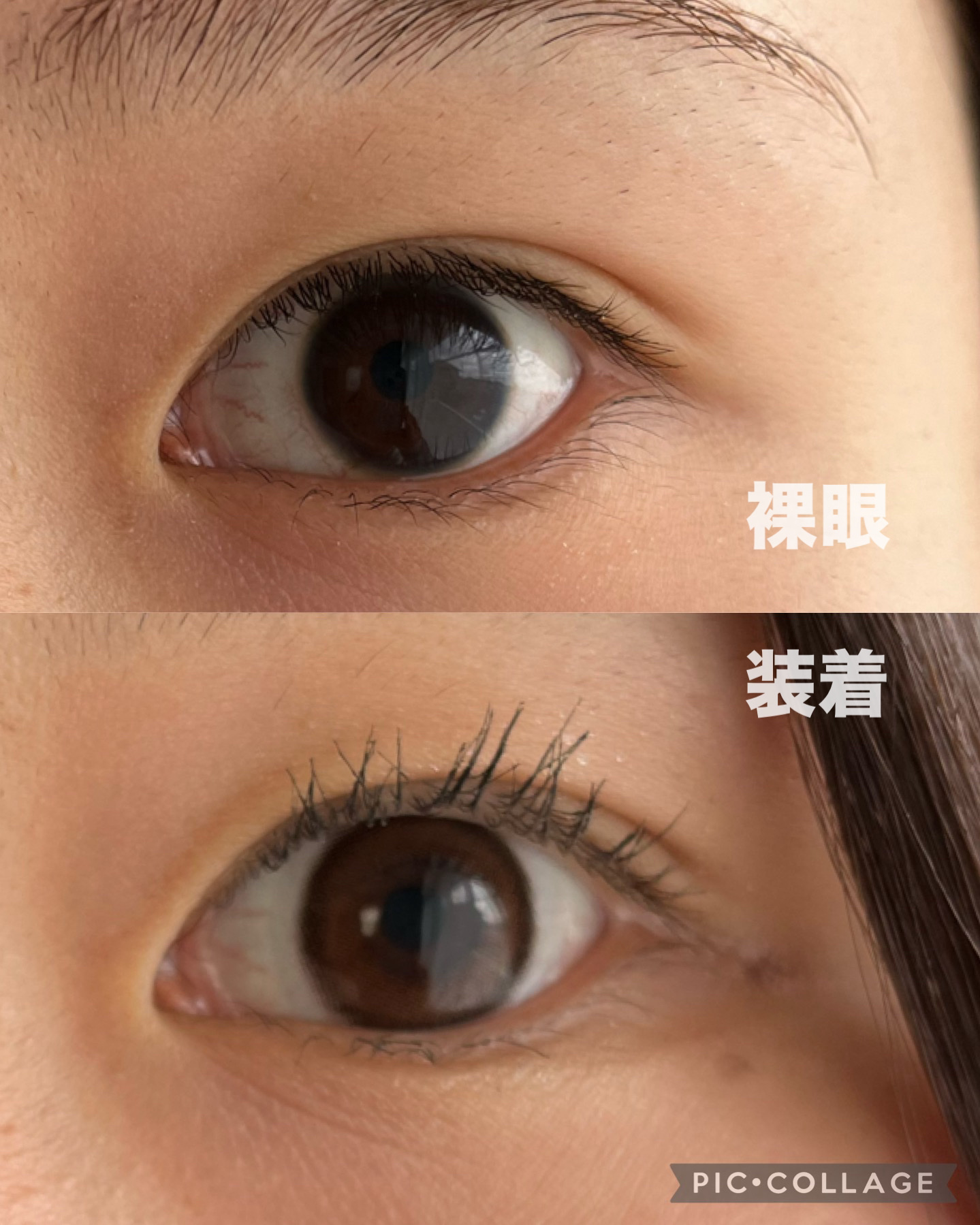 ViVi Ring 1day チョコ/OLENS/ワンデー（１DAY）カラコンを使ったクチコミ（3枚目）