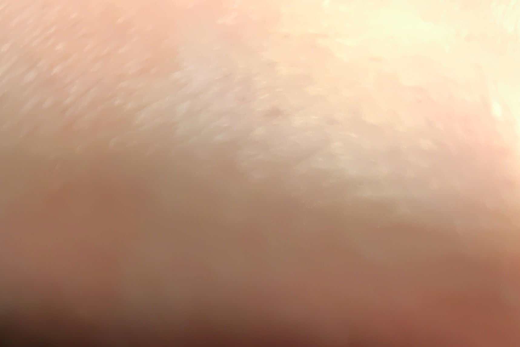 コンスピキュアス チークス/Amplitude/パウダーチークを使ったクチコミ（3枚目）