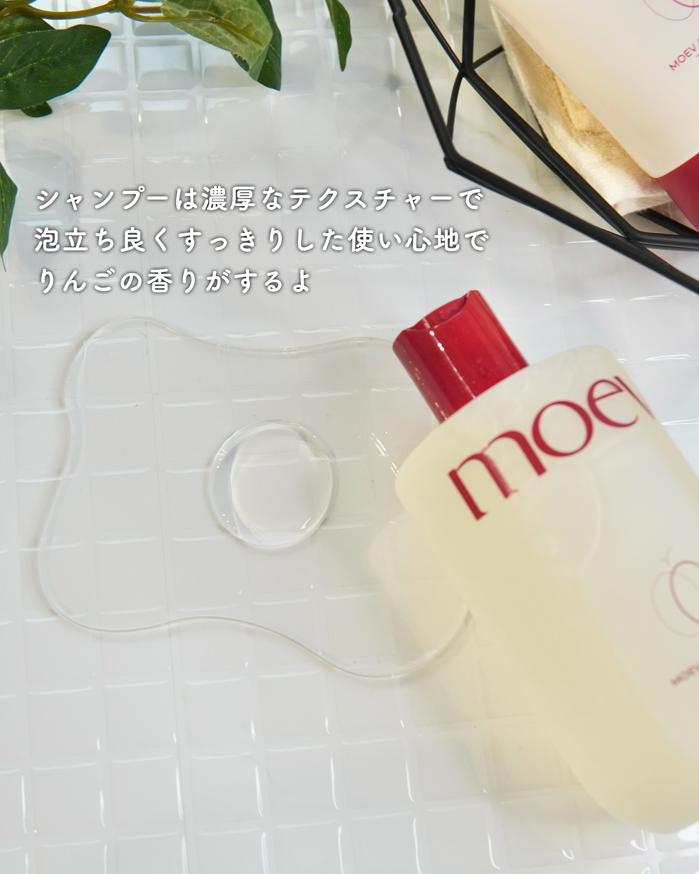 モエブ アヌカチン シャンプー/トリートメント/moev/市販シャンプーを使ったクチコミ（2枚目）