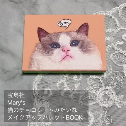 Mary’s 猫のチョコレートみたいなメイクアップパレットBOOK/宝島社/パウダーアイシャドウを使ったクチコミ(2枚目)