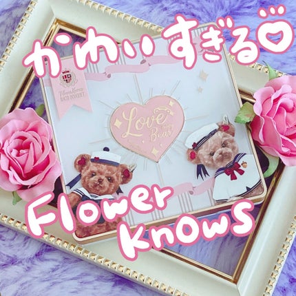 Love Bear 9色 アイシャドウパレット/FlowerKnows/アイシャドウパレットを使ったクチコミ(1枚目)