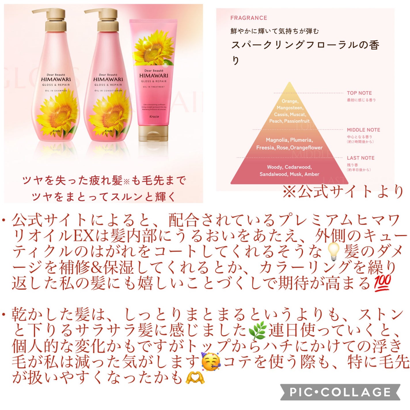 ãªã€ã«ã€ã³ã·ã£ã³ããŒïŒãªã€ã«ã€ã³ã³ã³ãã£ã·ã§ã㌠(ã°ãã¹ïŒãªãã¢)/ãã£ã¢ããŒã/åžè²©ã·ã£ã³ããŒã䜿ã£ãã¯ãã³ãïŒ5æç®ïŒ