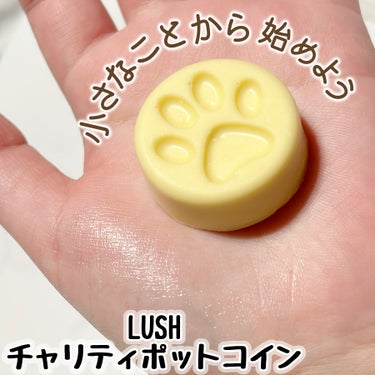 【LUSHで始める寄付活動🍀】

＿＿＿＿＿＿＿＿＿＿＿＿＿＿＿＿＿＿＿＿＿＿＿


#LUSH
#チャリティポットコイン
10g  Paw（動物の権利）
160円


肉球デザインが可愛い🐾 
LUS