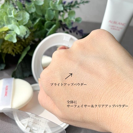 クラリティブラン サーフェイサー/ALBLANC/化粧下地を使ったクチコミ(8枚目)