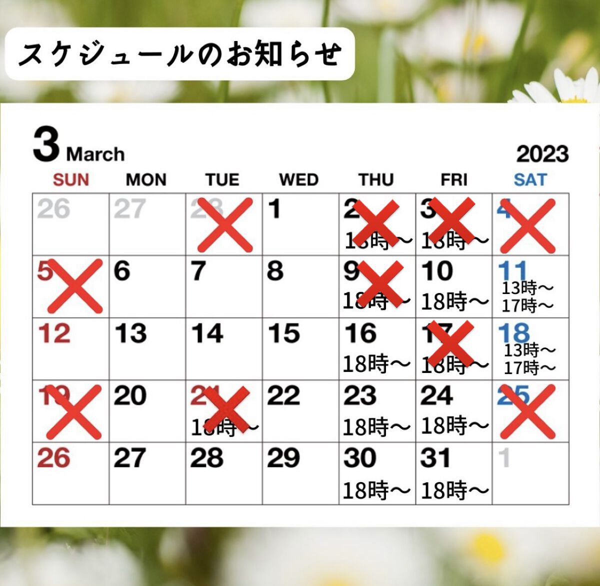 フラッターブラッシャー 01 ピット・ア・パット/mude./パウダーチークを使ったクチコミ（2枚目）