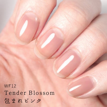 WF12 テンダーブロッサム(Tender Blossom)