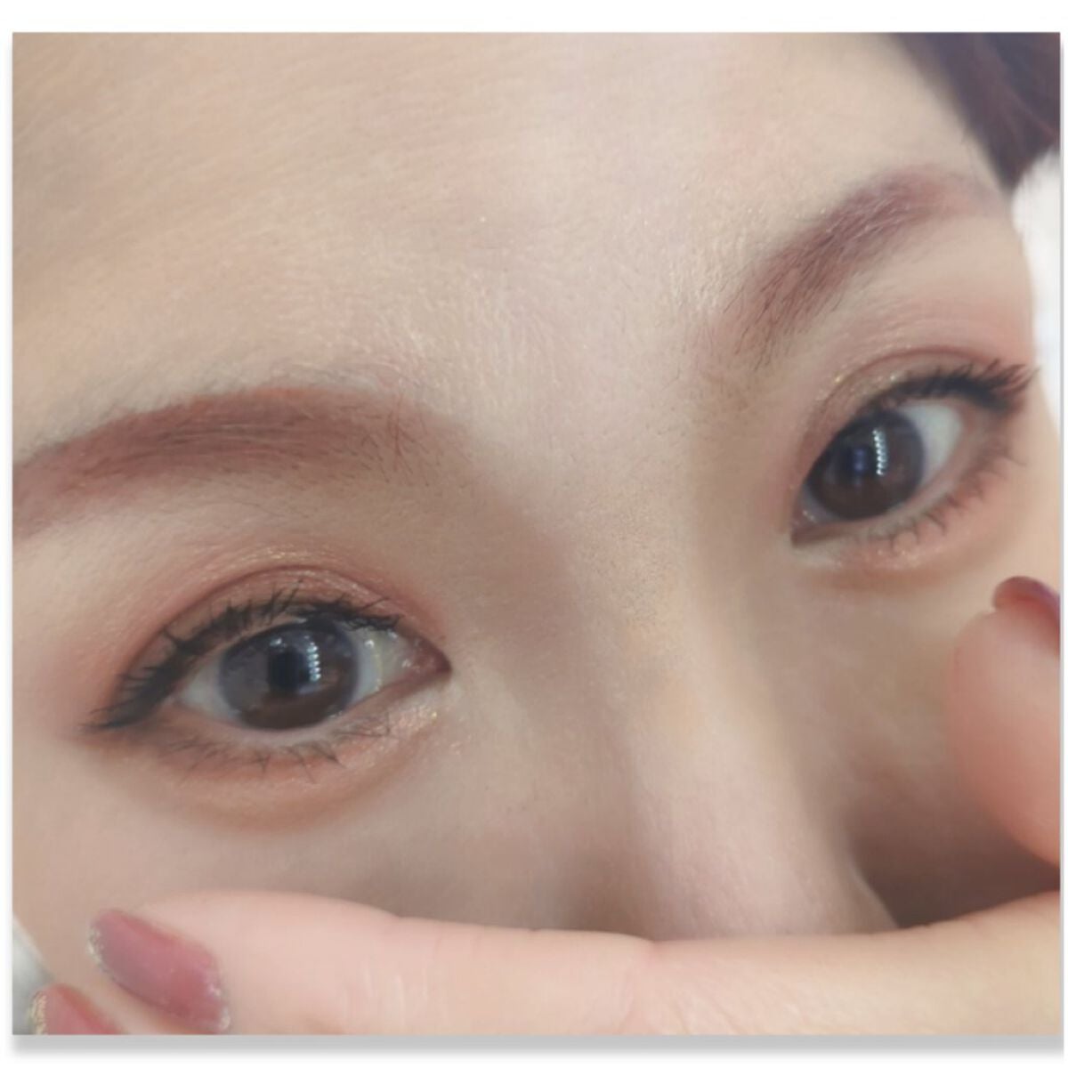 エクスプローラ12色 動物アイシャドウパレット/PERFECT DIARY/アイシャドウパレットを使ったクチコミ(2枚目)