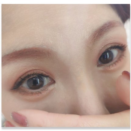 エクスプローラ12色 動物アイシャドウパレット/PERFECT DIARY/アイシャドウパレットを使ったクチコミ(2枚目)