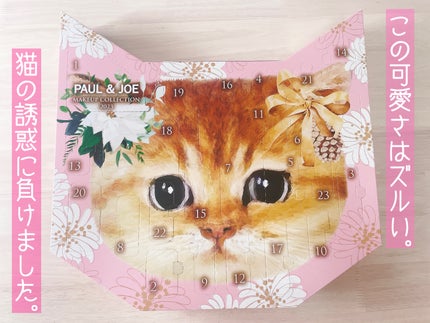 メイクアップ コレクション 2023/PAUL & JOE BEAUTE/メイクアップキットを使ったクチコミ(1枚目)