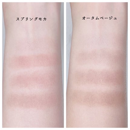 カラーエディットパウダーブロウ/excel/パウダーアイブロウを使ったクチコミ(5枚目)