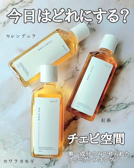 スキンケアトナー/CHAEB GONGGAN/化粧水を使ったクチコミ(3枚目)