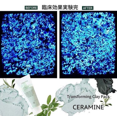 トランスフォーミングクレイパック/CERAMINE/洗い流すパック・マスクを使ったクチコミ（3枚目）