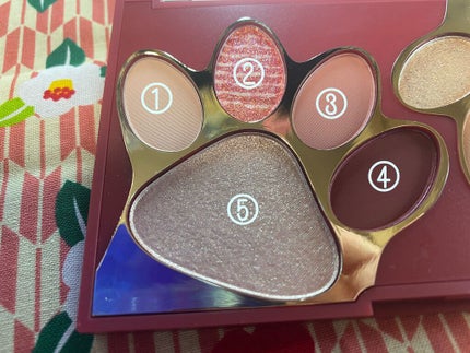 トラ十色アイシャドウパレット/COLORKEY/アイシャドウパレットを使ったクチコミ(4枚目)