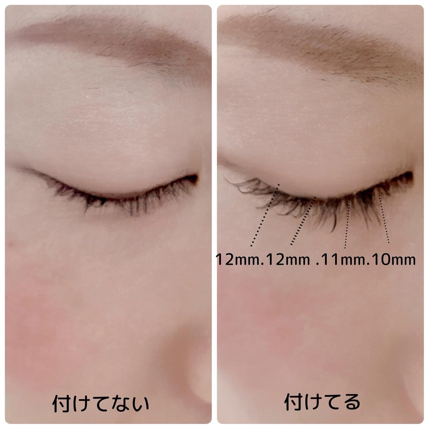 オリジナル 10mm Bold 1柱/CCAM BBAK/つけまつげを使ったクチコミ(3枚目)