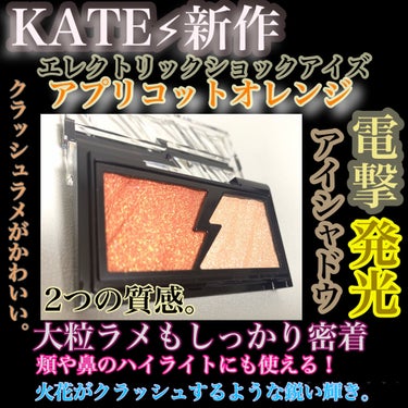 エレクトリックショックアイズ /KATE/アイシャドウパレットを使ったクチコミ（1枚目）