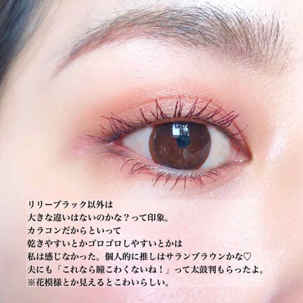 LILY ANNA/LILY ANNA/カラーコンタクトレンズを使ったクチコミ(4枚目)
