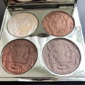 Protect the Lions Eye Palette / シャンテカイユ