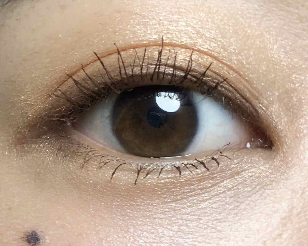 ヴィンテージモードアイズ/KATE/アイシャドウパレットを使ったクチコミ（2枚目）