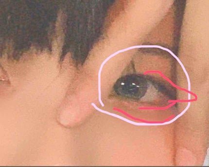 【旧品】パーフェクトスタイリストアイズ/キャンメイク/アイシャドウパレットを使ったクチコミ(3枚目)