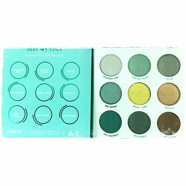 ColourPop ジャスト マイ ラック グリーン アイシャドウ パレットのクチコミ「こんにちは！今回は久しぶりにカラポで大人買いしたアイシャドウパレットの内の一つ、

『Colo.....」（2枚目）