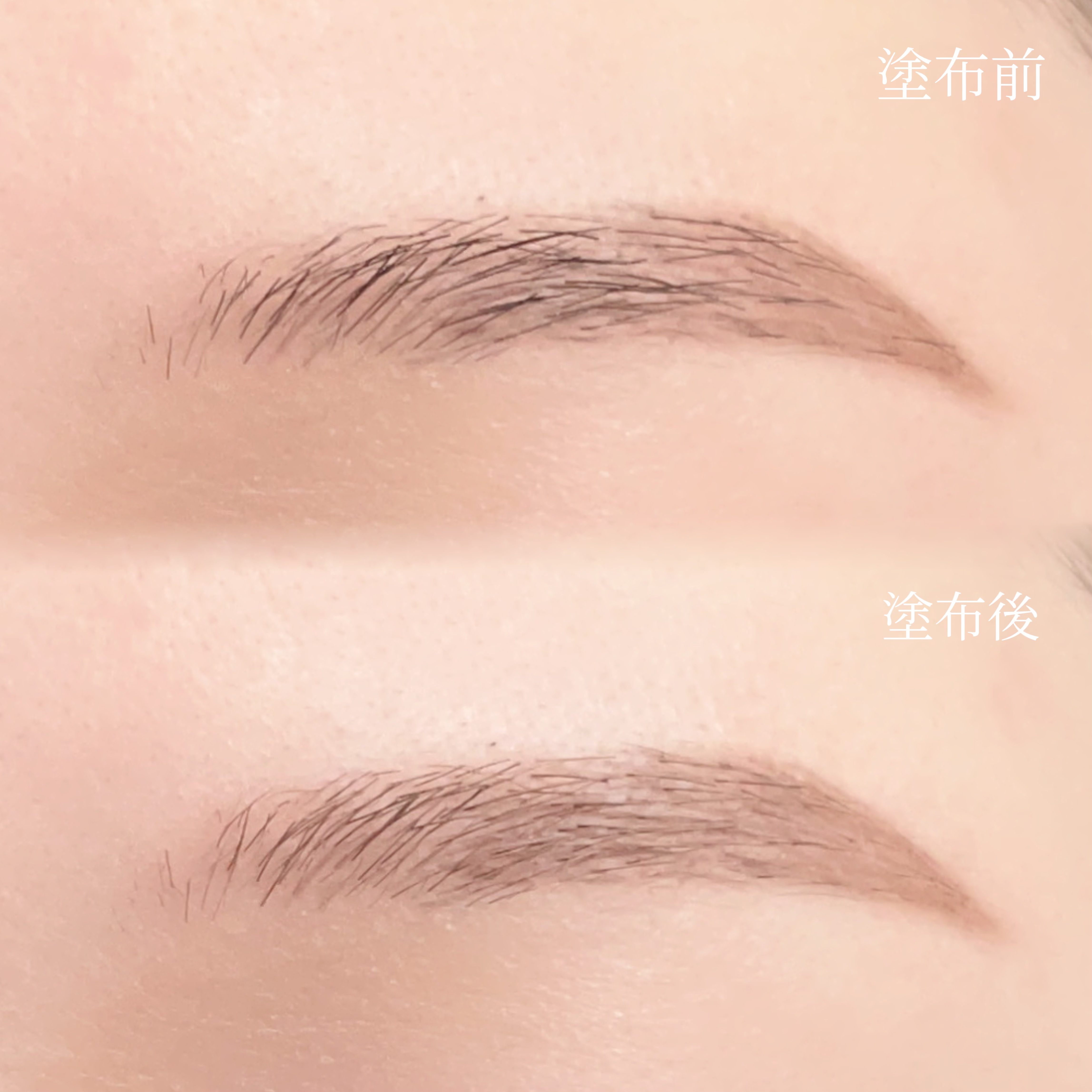 キス うす眉メーカー/KiSS/眉マスカラを使ったクチコミ（3枚目）