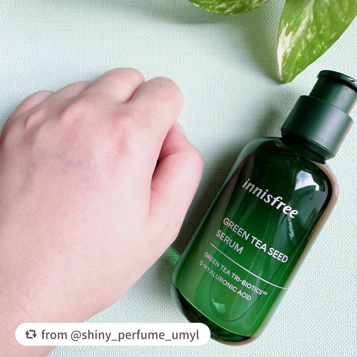 グリーンティーシード セラム N/innisfree/美容液を使ったクチコミ(5枚目)