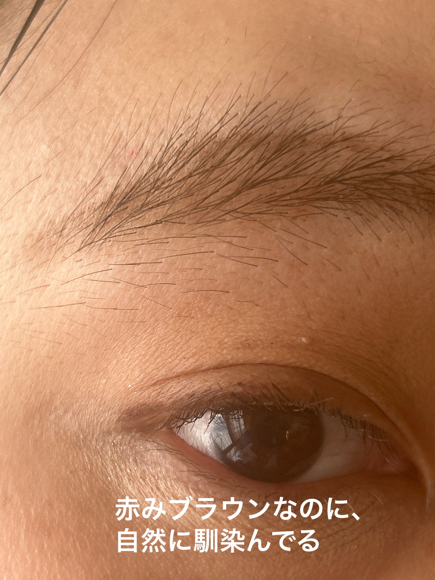 オペラ マイラッシュ アドバンスト/OPERA/マスカラを使ったクチコミ(4枚目)