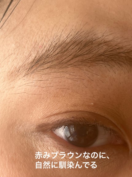 オペラ マイラッシュ アドバンスト/OPERA/マスカラを使ったクチコミ(4枚目)