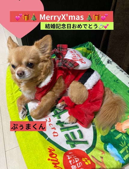 ロートリセ(医薬品)/ロート製薬/その他を使ったクチコミ(4枚目)