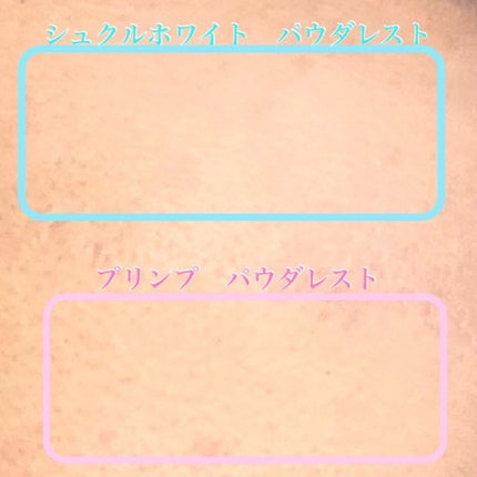 アルビオン ホワイトフィラー クリエイター/ALBION/化粧下地を使ったクチコミ(5枚目)