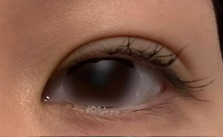 アイラッシュカーラー/SHISEIDO/ビューラーを使ったクチコミ(2枚目)