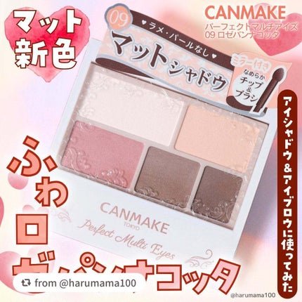 パーフェクトマルチアイズ/キャンメイク/アイシャドウパレットを使ったクチコミ(1枚目)
