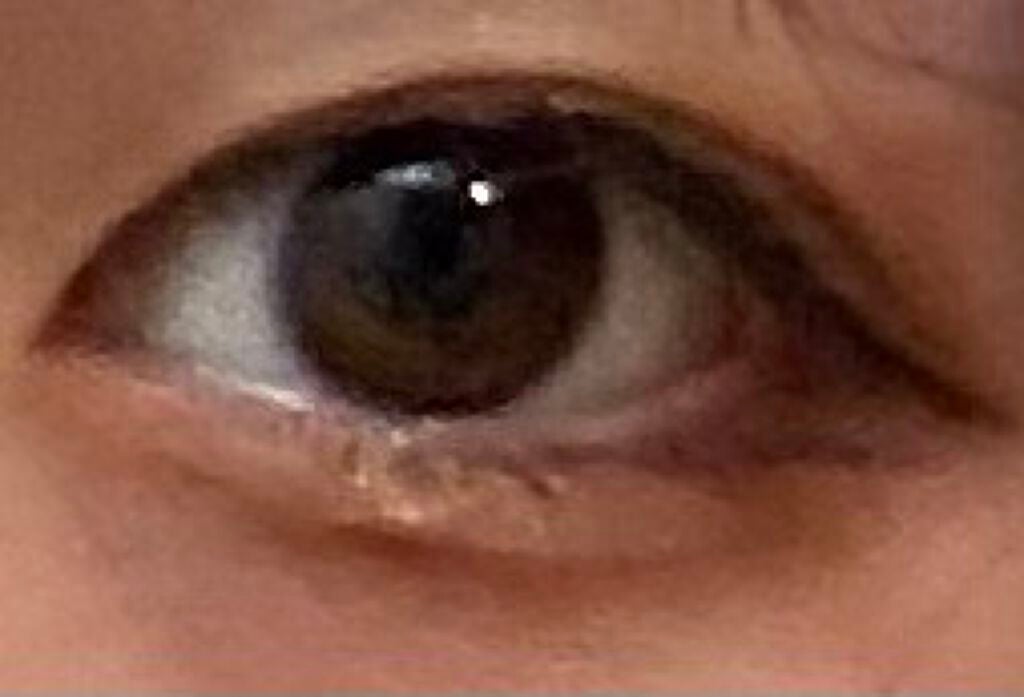 EYE OPENING LINER/UZU BY FLOWFUSHI/リキッドアイライナーを使ったクチコミ(6枚目)