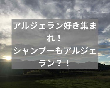 ダメージ リペア オイル シャンプー／オイル ヘア トリートメント/アルジェラン/シャンプー・コンディショナーを使ったクチコミ（1枚目）