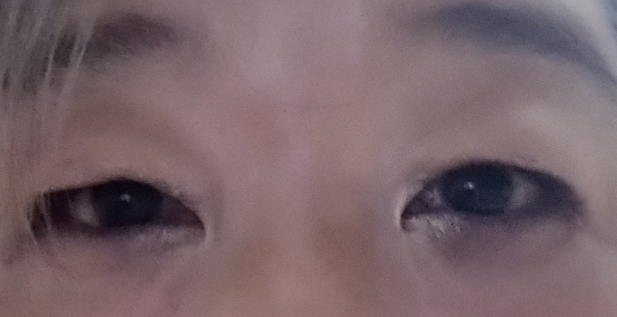 オールデイ ボリュームアンドカールマスカラ/Milk Touch/マスカラを使ったクチコミ（2枚目）