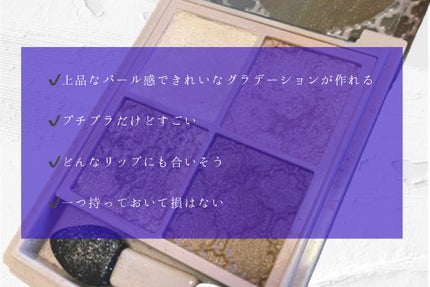 グロッシーリッチ アイズ N/Visée/アイシャドウパレットを使ったクチコミ(2枚目)