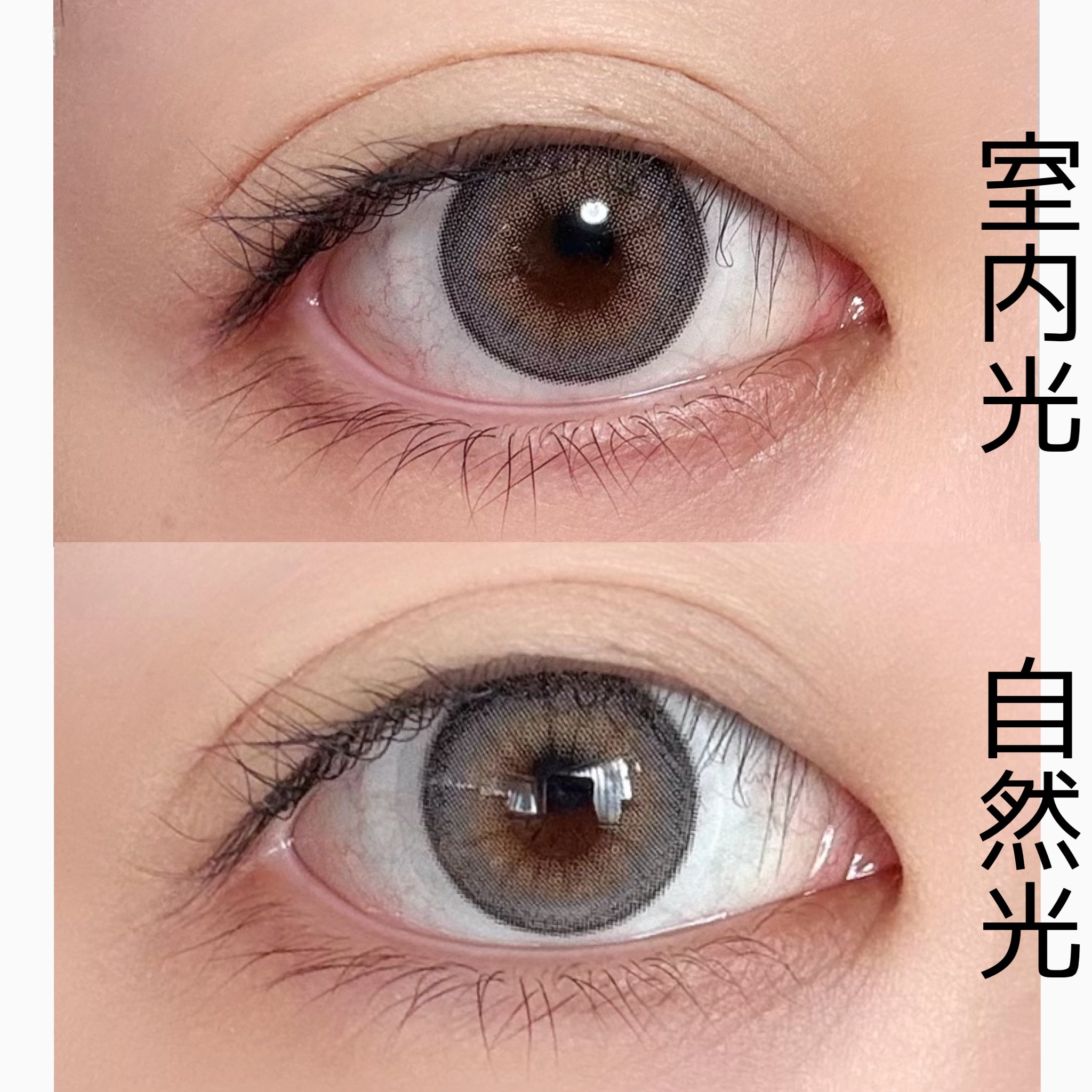 Buttercup 1month/ANN365LENS/１ヶ月（１MONTH）カラコンを使ったクチコミ（2枚目）