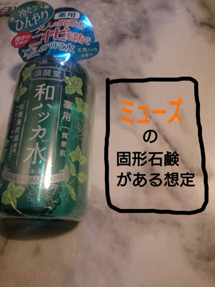 薬用和ハッカ水/潤素肌/ボディローションを使ったクチコミ(2枚目)