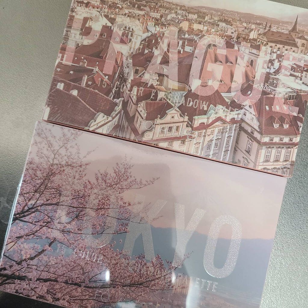 GO TRAVEL 15色アイシャドウパレット/FOCALLURE/アイシャドウパレットを使ったクチコミ（1枚目）