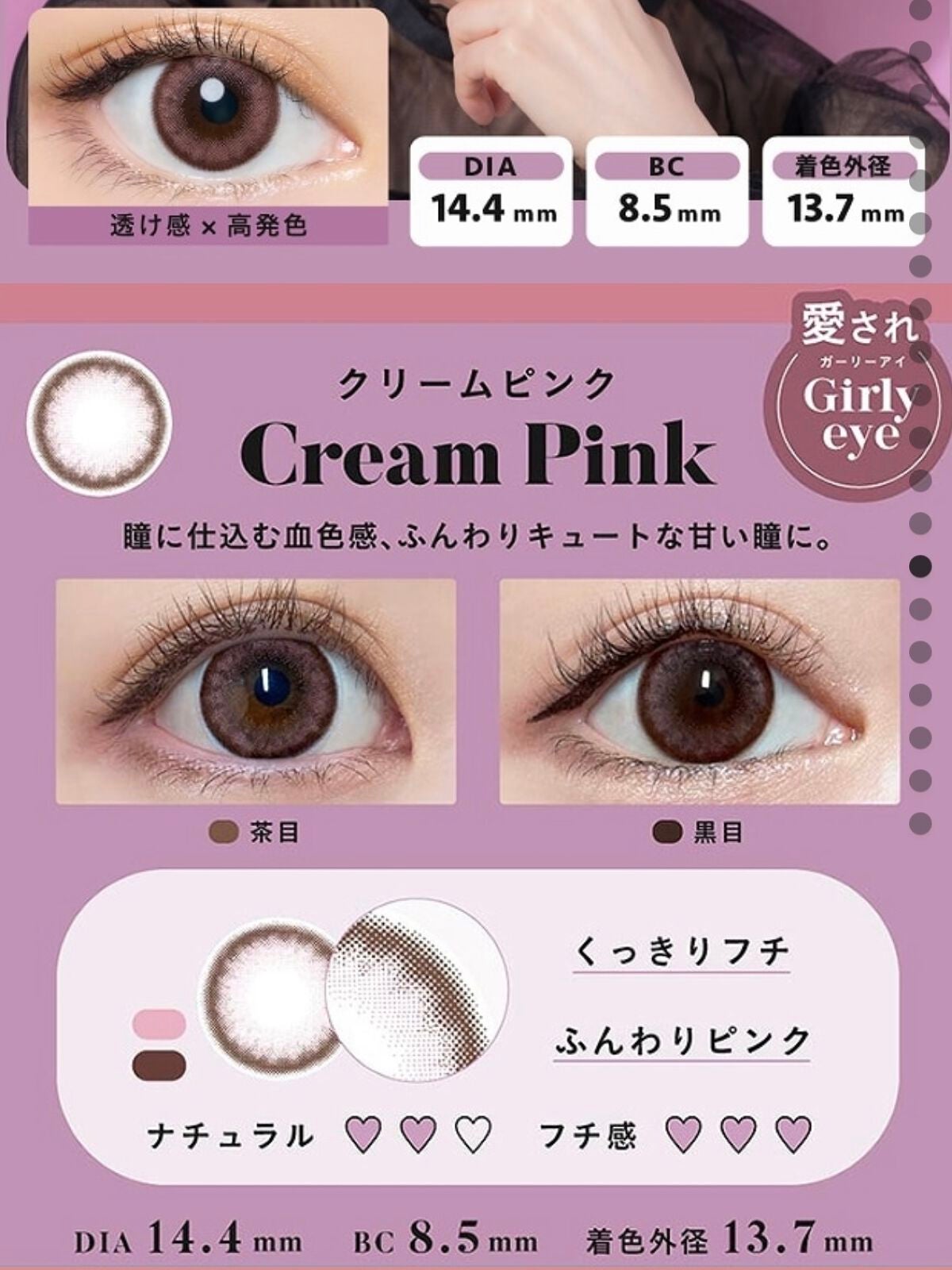 Angelcolor Bambi Series 1day /AngelColor/ワンデー(1DAY)カラコンを使ったクチコミ(5枚目)