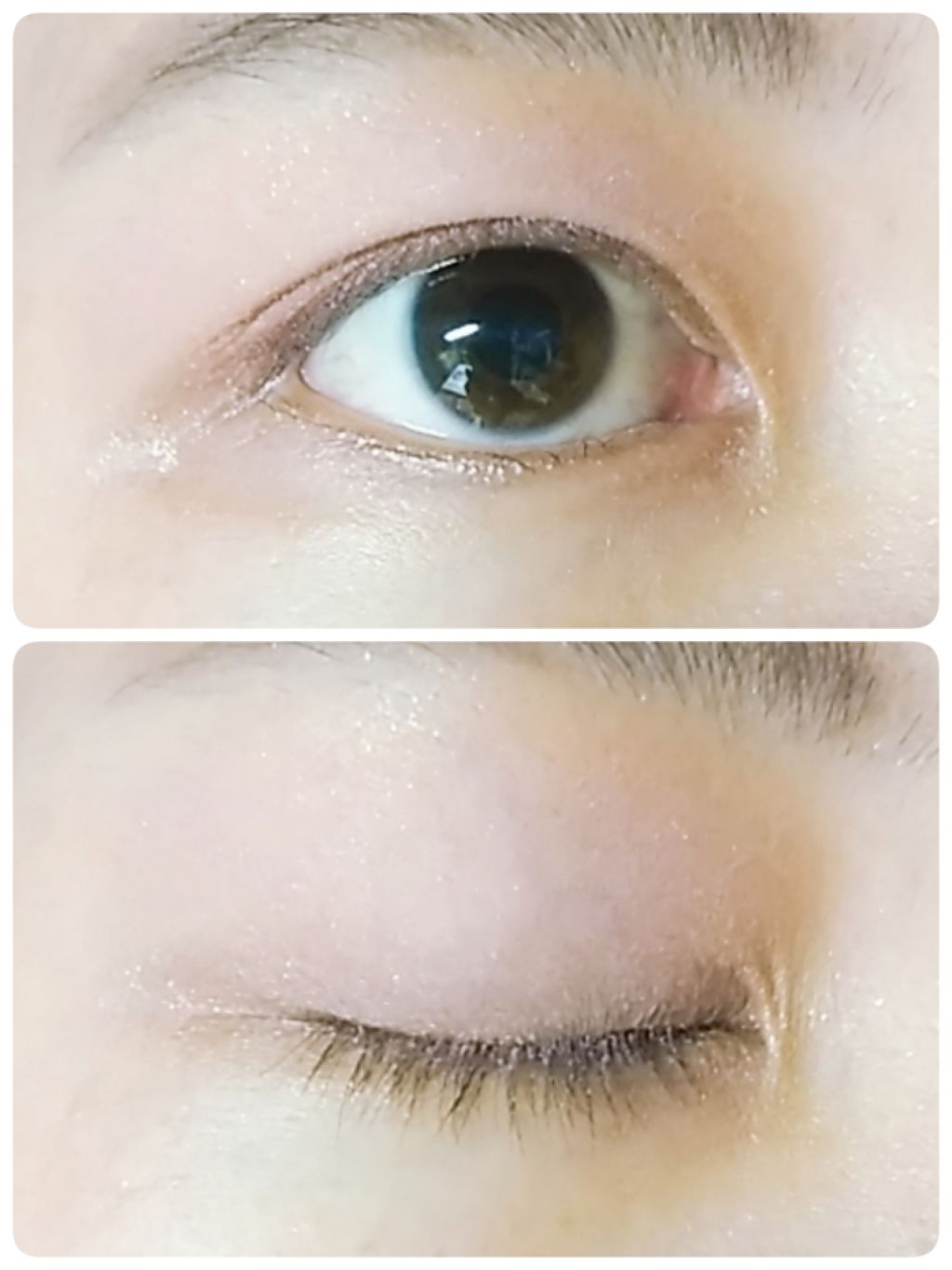 チーク カラー(ブラシ付)/ちふれ/パウダーチークを使ったクチコミ（2枚目）