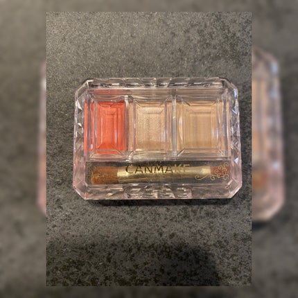 シークレットカラーアイズ/キャンメイク/アイシャドウパレットを使ったクチコミ(1枚目)